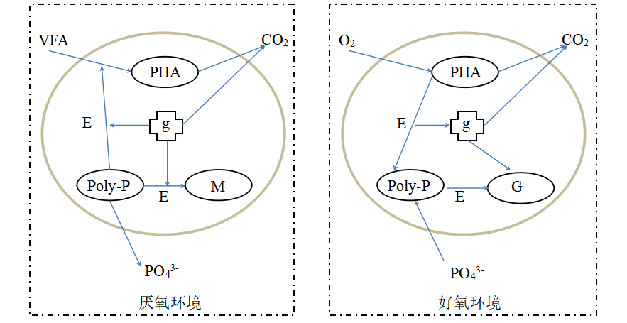	蘇州湛清環(huán)保科技有限公司